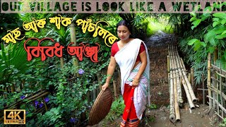 বৰষুণৰ বতৰত বাৰীৰ শাক পাঁচলিৰে বিবিধ আঞ্জা | Our village is look like a wetland |