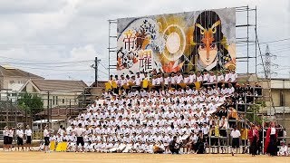 久留米高等学校 体育祭 応援合戦 黄組 （2019年:令和元年）