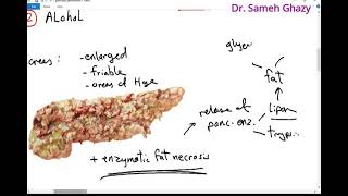 Systemic pathology 75 : pancreatic diseases ( pancreatitis , tumors & diabetes )