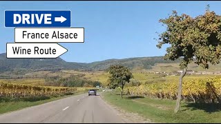 유럽 프랑스 알자스 와인가도 드라이브🚘| 멍 때리고 싶을 때 보는 영상 | France Alsace WineRoute Drive w/ Music! Online Autofahren