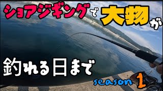 【ショアジギング】でっかい青物が釣れる日まで…   season1