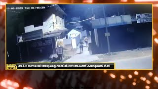 ആരാണ് ഈ കുറുവ സംഘം? എങ്ങിനെയാണ് പ്രവർത്തന രീതി ?