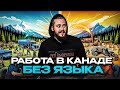 10 ПРОФЕССИЙ В КАНАДЕ БЕЗ ЯЗЫКА