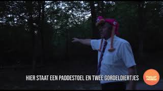 Gordeldiertjes | Greumelke