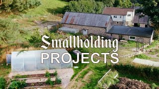 Revitalising a 1700s Smallholding - Stone Wall \u0026 Polytunnel Build