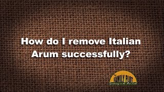 Q\u0026A – How do I remove Italian Arum successfully?