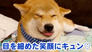 見る人を幸せにする表情豊かでカワイイ柴犬のユクちゃん♪