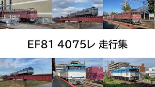 門司機関区 EF81 4075レ(2021年度ver.)走行シーン集