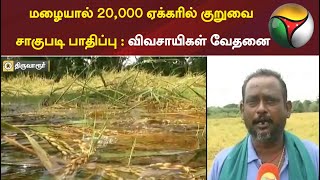 திருவாரூர்: மழையால் 20,000 ஏக்கரில் குறுவை சாகுபடி பாதிப்பு : விவசாயிகள் வேதனை | Rain | Thiruvarur