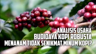 Analisis Usaha Budidaya Kopi Robusta (1000 m²)