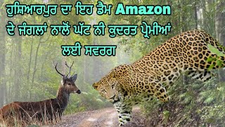 ਹੁਸ਼ਿਆਰਪੁਰ ਦਾ ਇਹ ਡੈਮ Amazon ਦੇ ਜੰਗਲਾਂ ਨਾਲੋਂ ਘੱਟ ਨੀ | ਕੁਦਰਤ ਪ੍ਰੇਮੀਆਂ ਲਈ ਸਵਰਗ