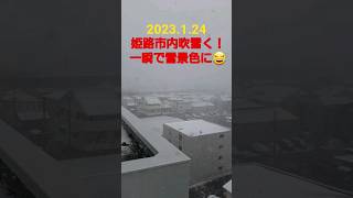 久しぶりに姫路市内が雪景色‼️吹雪いてる😂 #shorts #姫路市 #雪