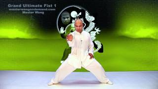 Tai Chi combat tai chi chuan fight style use tai chi - lesson 12