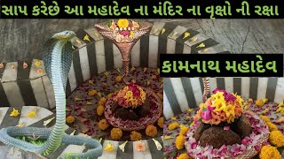 કામનાથ મહાદેવ નો ઇતિહાસ. આ જગ્યા ની રક્ષા કરે છે એક સાપ. શિવલિંગ માંથી કેમ નિકળ્યું તું લોહી