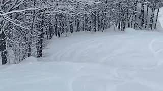 Wildcat Mountain, NH. Powder Day 2022