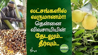 தென்னை விவசாயியின் தேடலும்... தீர்வும்... லட்சங்களில் வருமானம்.