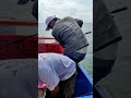 tenggiri madagaskar takluk dalam dekapan poe official angler zidane👍🏻