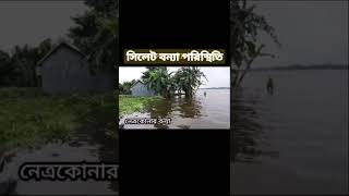 আবারও প্রবল বেগে বাড়তে লাগলো সিলেট বন্যার পানি|আল্লাহ! সিলেট বাসীদের রক্ষা করুন#সিলেট #বন্যা#shorts