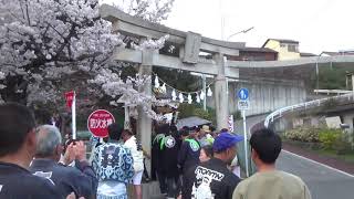 引田三社祭  宮入り(下引田のトラック山車)大宮神社