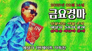 1번 게이트 가득찬 2025년 2월14일 금요경마 금요방송