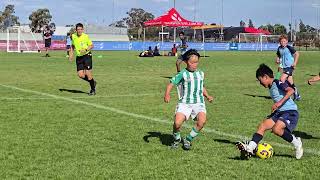 Shepparton Cup U11 - 2024, Glen Eira FC (Blue) v Green Gully SC (Final)