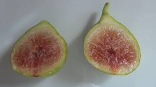 Ripe Lattarula Fig