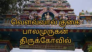 #Aralvaimozhi VavaalKukai Balamurugan Kovil Mountain Bats Cave Lord Muruga temple #SpecialVideo