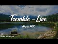 Mosaic MSC - Tremble - Live (Lyrics) | Jesus, Jesus, You make the darkness tremble