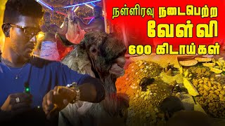 நள்ளிரவு நடைபெற்ற வேள்வி 600 மேற்பட்ட கிடாய்கள் | @View_of_vino