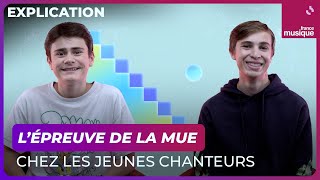 L'épreuve de la mue chez les jeunes chanteurs - Culture Prime