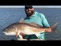 How To Catch Redfish In The Summer (Coastal Marsh & Creek Tips)