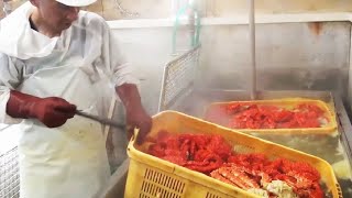 Inside Crab Factory In Japan - Crab Processing Line