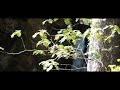 abenteuer schwarzwald blackforest cinematic 4k