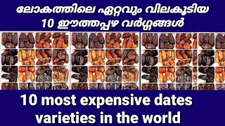 Most expensive 10 dates varieties in the world|ലോകത്തിലെ ഏറ്റവും വില കൂടിയ 10 ഈത്തപ്പഴ വർഗം |