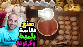 بكرتونة ولمبة هنصنع أرخص فقاسة لتفريخ كل أنواع البيض 🔴مشروع مربح جدا وهتملي البيت كتاكيت وبط وخير