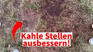 Kahle Stellen im Rasen ausbessern - Das sind die besten Tipps für deine Rasenreparatur- \u0026 pflege!