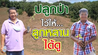 ปลูกป่าครั้งที่ 2 บนภูเขา คืนพื้นที่สีเขียว | คนรักษ์ป่า ep 203