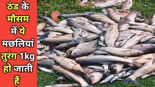 ये मछलियां बदल देंगी आपकी किस्मत #aquaculture #fish