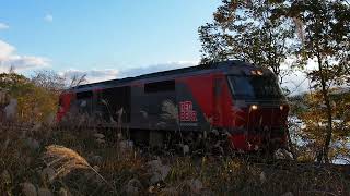 DF200形貨物列車@函館本線大沼公園→赤井川（2022.10）