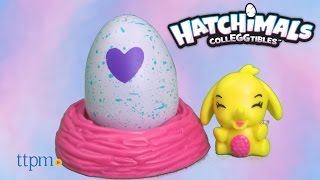 Hatchimals Colleggtibles 2-Pack + Nest from Spin Master