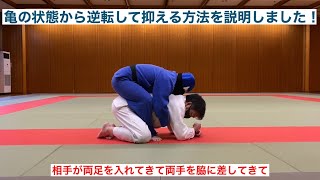 【柔道寝技】自分が亀の状態から逆転して抑える方法を説明しました！