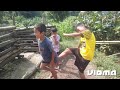 Gastric problem part 2//Limbu Boys Entertainment//2023//