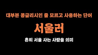 나는 솔로에서도 언급되는 서울러 서울 사람은 영어로 서울러일까? 아닙니다!