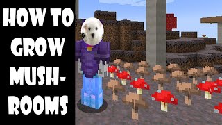 How to grow mushrooms in minecraft 1 21