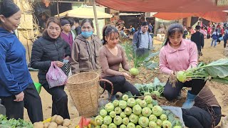 Two sisters harvest tomatoes and bring them to the market to sell, serving daily life.