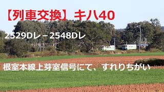 【列車交換】キハ40　 2529Dレ－2548Dレ 根室本線上芽室信号にて、すれりちがい #キハ40