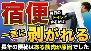 【腸内デトックス】宿便が溜まるのはトイレのこの姿勢が原因だった！老廃物をドバドバ出して腸内デトックスする整体法