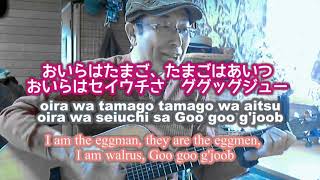 【アイ・アム・ザ・ウォルラス】和訳カバーが凄いなんてそんな訳ないやろ？I Am The Walrus / The Beatles Cover