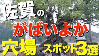 【佐賀県】家族で大満喫！武雄市若木町の穴場スポットで１日あそび尽くす！