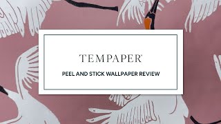 Tempaper Peel \u0026 Stick Wallpaper Review | Ep. 5 | Top 10 Brands